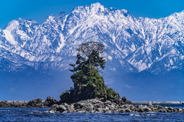 tateyamarenpou (1).jpg