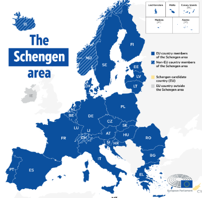 image - 2025-07-31T110143.475 (1).png