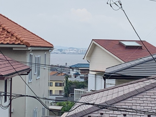 image (60) (1).png