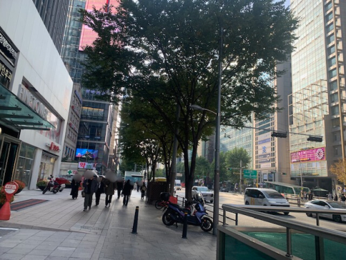 名称未設定のデザイン - 2025-12-24T172718.215 (1).png