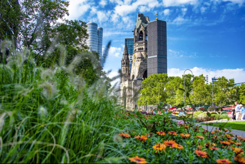 image - 2025-11-04T120539.089 (1).png