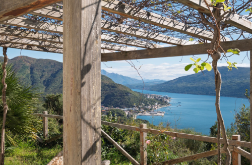 スクリーンショット 2026-02-04 144120 (1).png